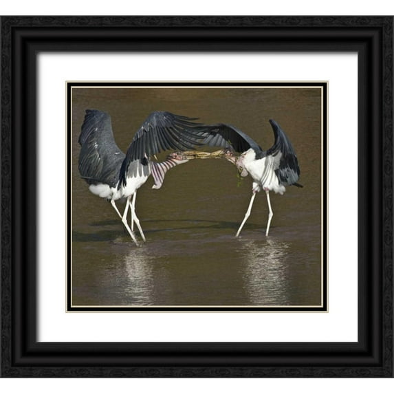 Williams, Joanne 13x12 Black Ornate Wood Framed with Double Matting Museum Art Print Titled - Kenya Marabou storks with nesting material