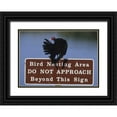 thumbnail image 1 of Williams, Joanne 14x11 Black Ornate Wood Framed with Double Matting Museum Art Print Titled - FL, Turkey vulture preens its feathers, 1 of 4