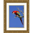thumbnail image 1 of Williams, Joanne 17x24 Gold Ornate Wood Framed with Double Matting Museum Art Print Titled - Brazil, Pantanal Red and green macaw, 1 of 4