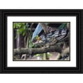 thumbnail image 1 of Williams, Joanne 18x13 Black Ornate Wood Framed with Double Matting Museum Art Print Titled - Madagascar Chameleon crawls on tree limb, 1 of 4
