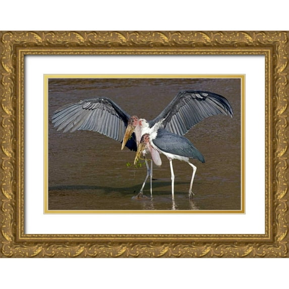 Williams, Joanne 18x14 Gold Ornate Wood Framed with Double Matting Museum Art Print Titled - Kenya Pair of marabou storks in shallow water