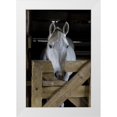 thumbnail image 1 of Williams, Joanne 23x32 White Modern Wood Framed Museum Art Print Titled - USA, Florida Close-up of horse peering over gate, 1 of 4