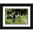 thumbnail image 1 of Williams, Joanne 24x18 Black Ornate Wood Framed with Double Matting Museum Art Print Titled - Florida Anhinga in spread-wing posture behavior, 1 of 4