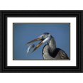 thumbnail image 1 of Williams, Joanne 32x22 Black Ornate Wood Framed with Double Matting Museum Art Print Titled - FL, Ft DeSoto Beach Great blue heron with fish, 1 of 4