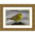 thumbnail image 1 of Williams, Joanne 32x22 Gold Ornate Wood Framed with Double Matting Museum Art Print Titled - Ecuador, Galapagos Islands Yellow warbler, 1 of 4