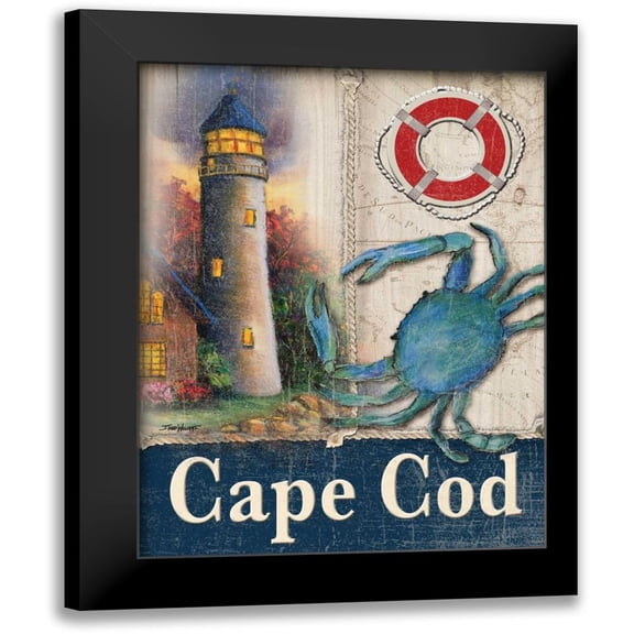 Williams, Todd 15x18 Black Modern Framed Museum Art Print Titled - Cape Cod