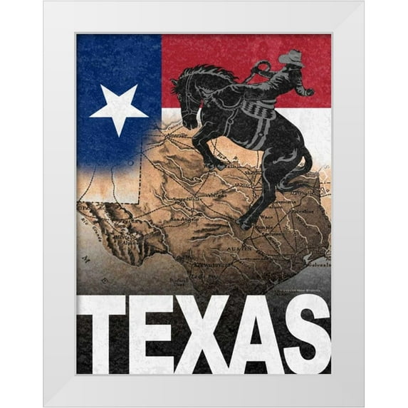 Williams, Todd 19x24 White Modern Wood Framed Museum Art Print Titled - Texas