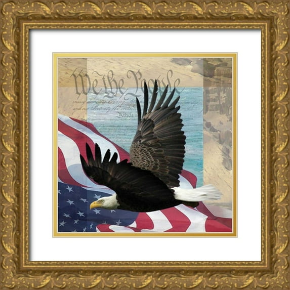 Williams, Todd 26x26 Gold Ornate Wood Framed with Double Matting Museum Art Print Titled - Freedom II