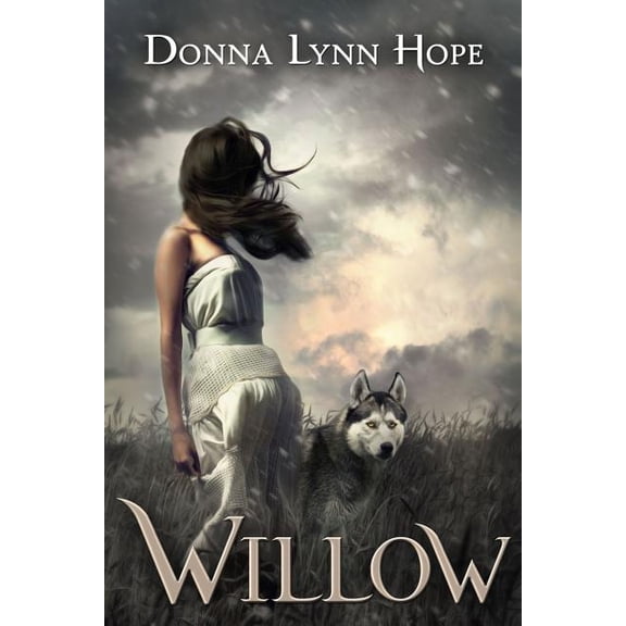 Willow Falls Saga Willow, Book 1, (Paperback)