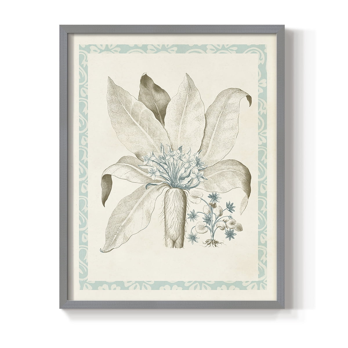Willow Blue Besler V Framed Print - Solid Wood in Single Picture Frame Solid Wood 2 Framed Print