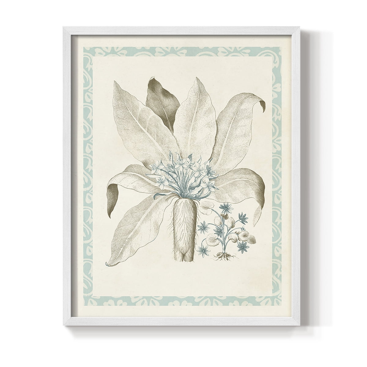 Willow Blue Besler V Framed Print - Solid Wood in Single Picture Frame Solid Wood 2 Framed Print