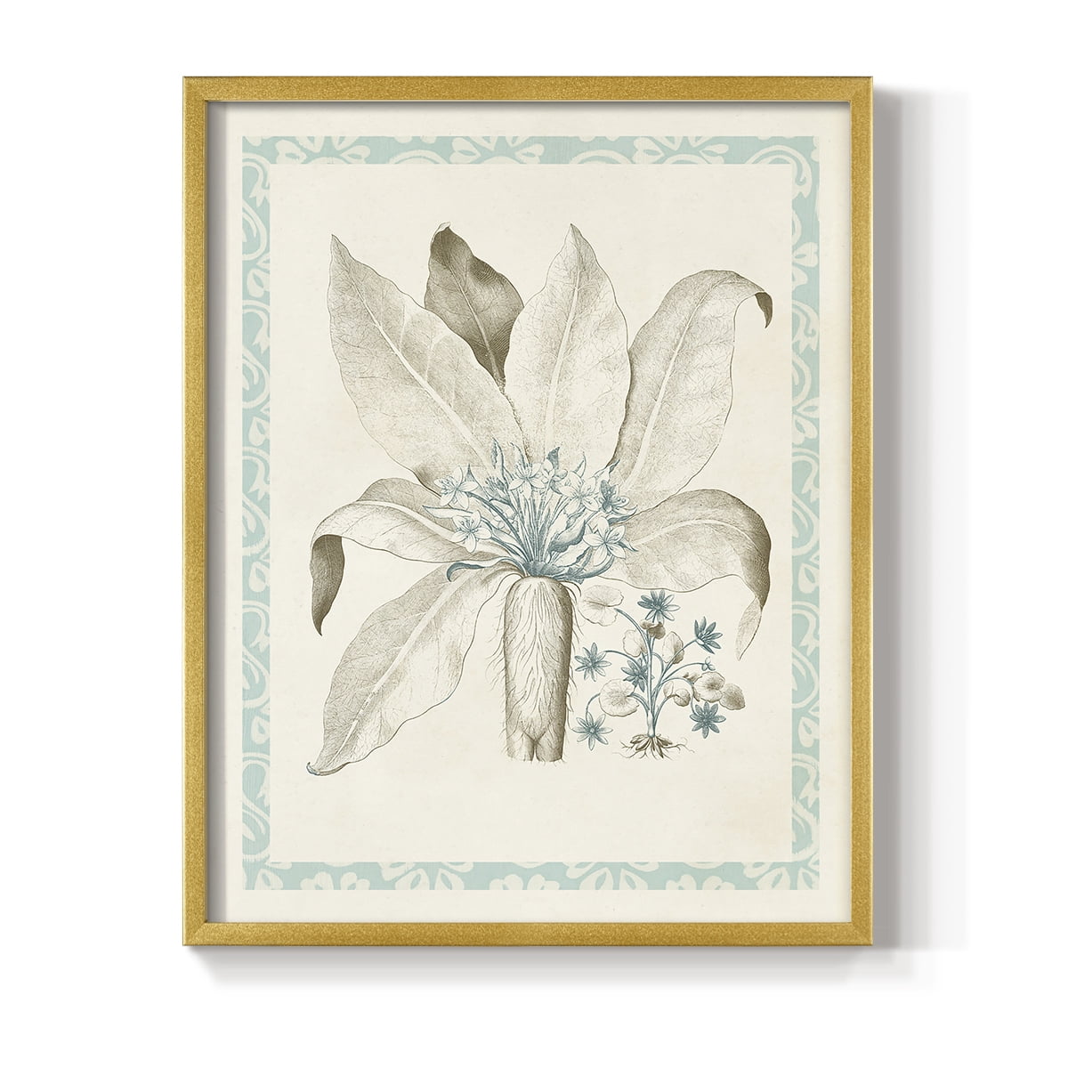 Willow Blue Besler V Framed Print - Solid Wood in Single Picture Frame Solid Wood 2 Framed Print
