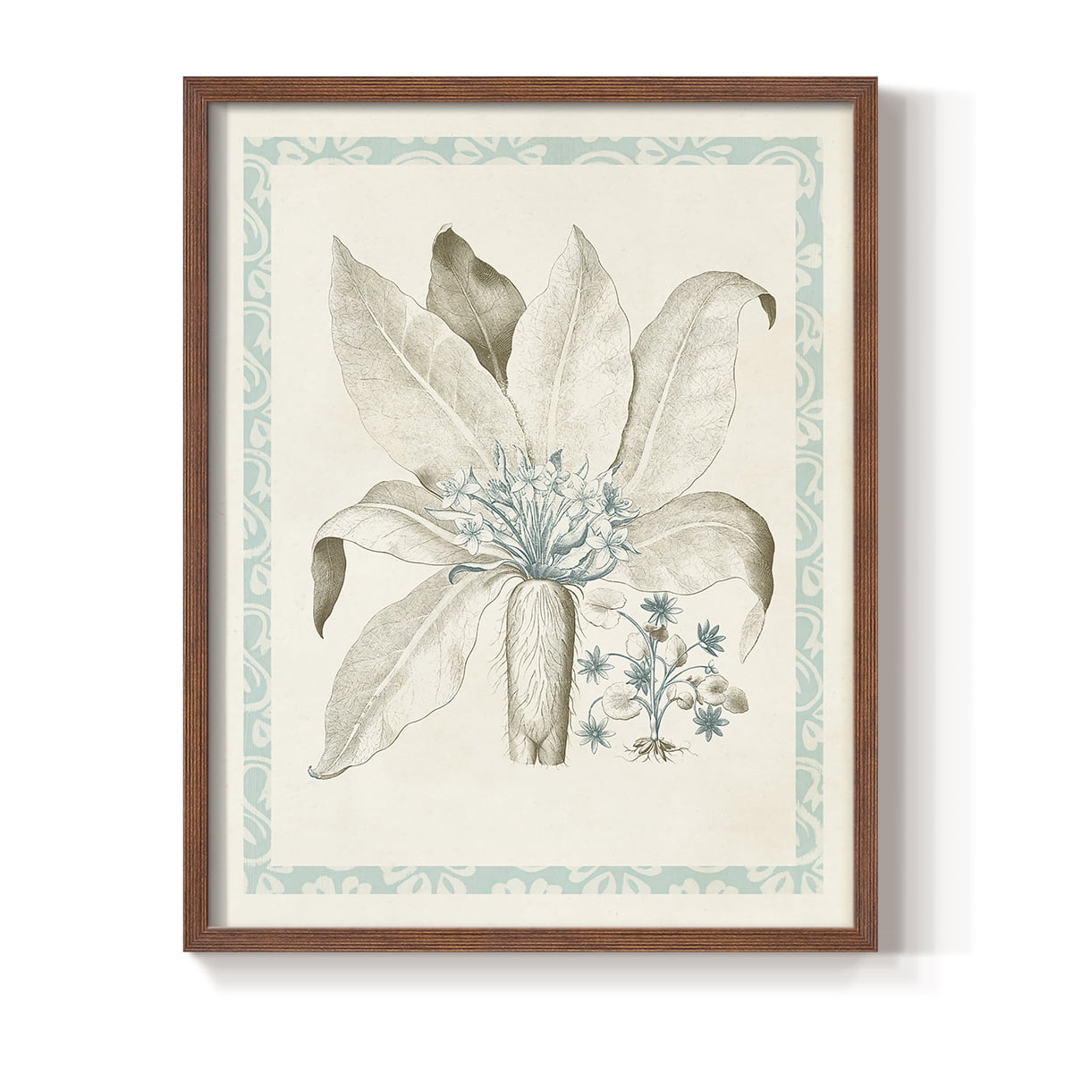 Willow Blue Besler V Framed Print - Solid Wood in Single Picture Frame Solid Wood 2 Framed Print