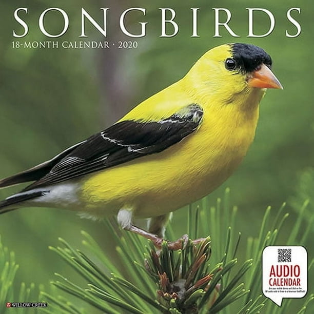 Willow Creek Press 2020 Songbirds Wall Calendar