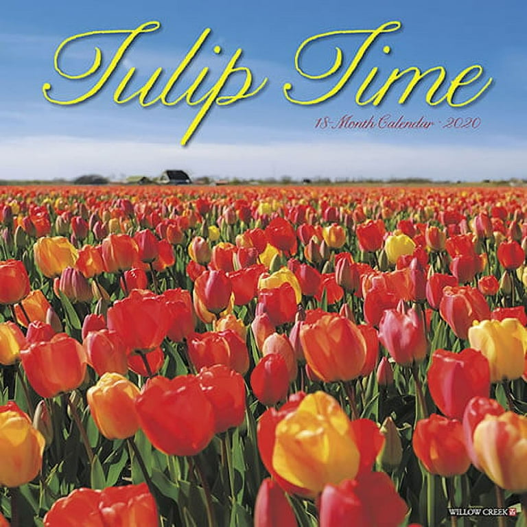 Willow Creek Press 2020 Tulip Time Wall Calendar Walmart