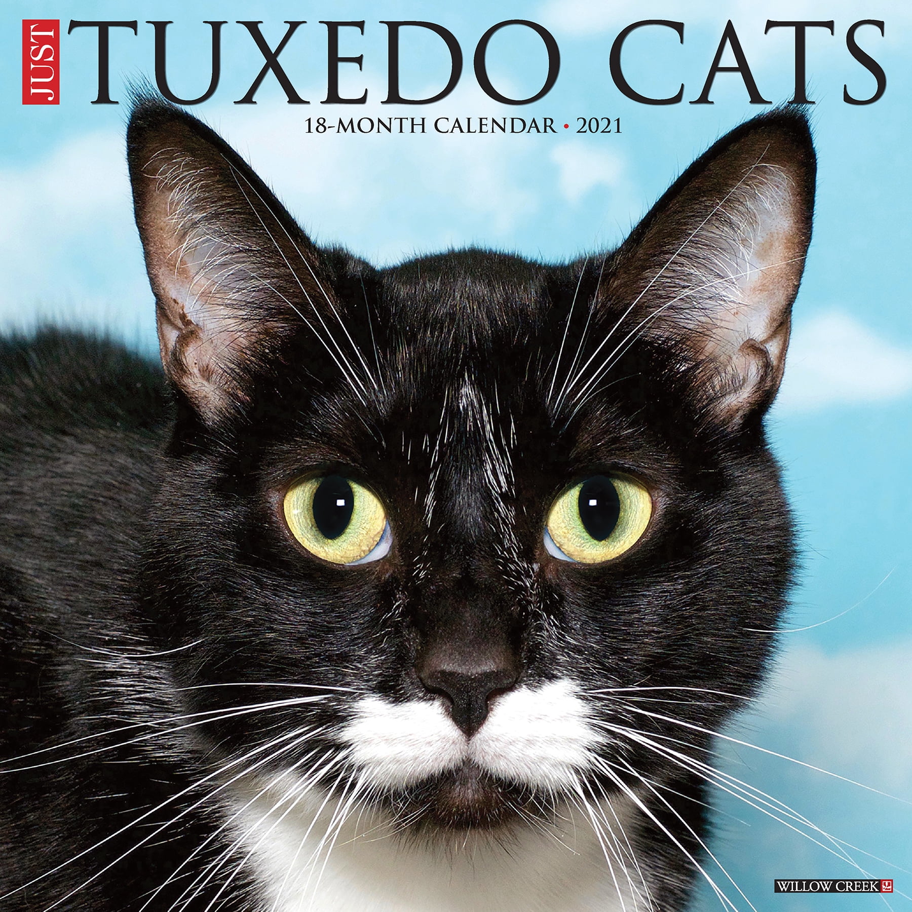 Willow Creek Press 2021 Just Tuxedo Cats Wall Calendar - Walmart.com