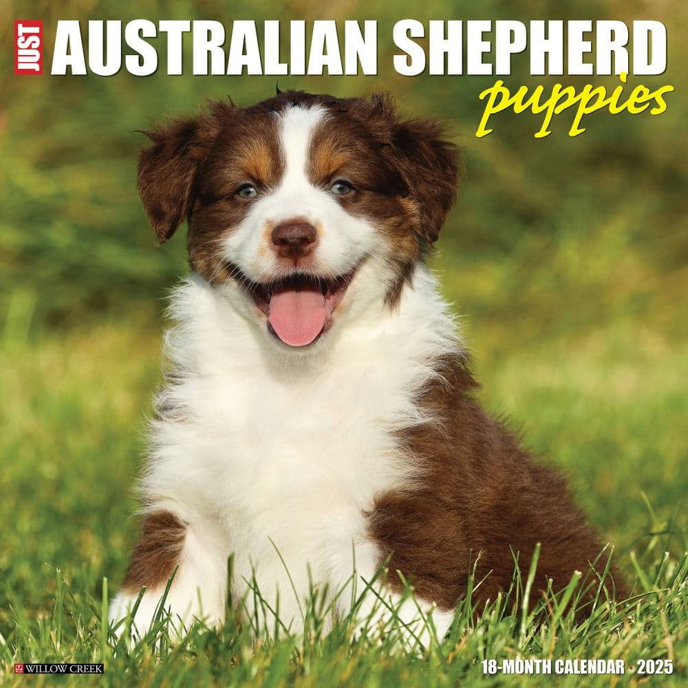 Willow Creek Press, Australian Shepherd Puppies 2025 Wall Calendar