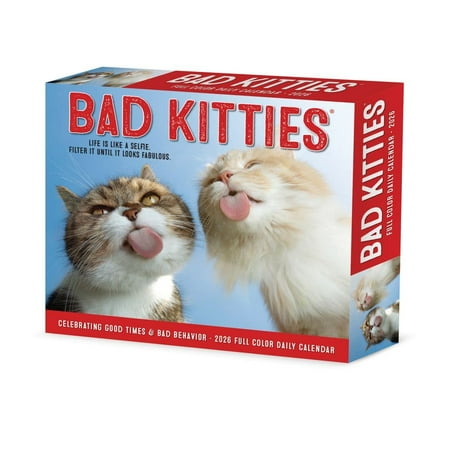 Willow Creek Press, Bad Kitties 2026 Desk Calendar, 6.18'' X 5.43'', Daily Calendar with Adhesive Binding