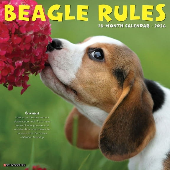 Willow Creek Press, Beagle Rules 2026 Wall Calendar, 12'' X 12'', 18-Month Calendar with Stapled Binding