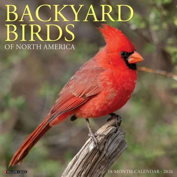 Willow Creek Press, Birds Backyard 2026 Wall Calendar, 12'' X 12'', 18-Month Calendar with Stapled Binding