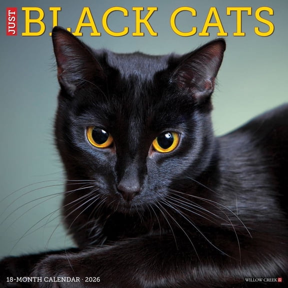 Willow Creek Press, Black Cats 2026 Wall Calendar, 12'' X 12'', 18-Month Calendar with Stapled Binding