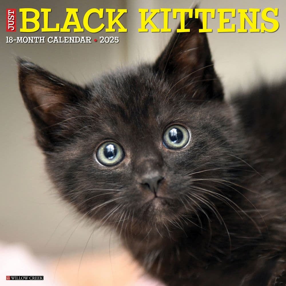 Willow Creek Press, Black Kitties 2025 Wall Calendar