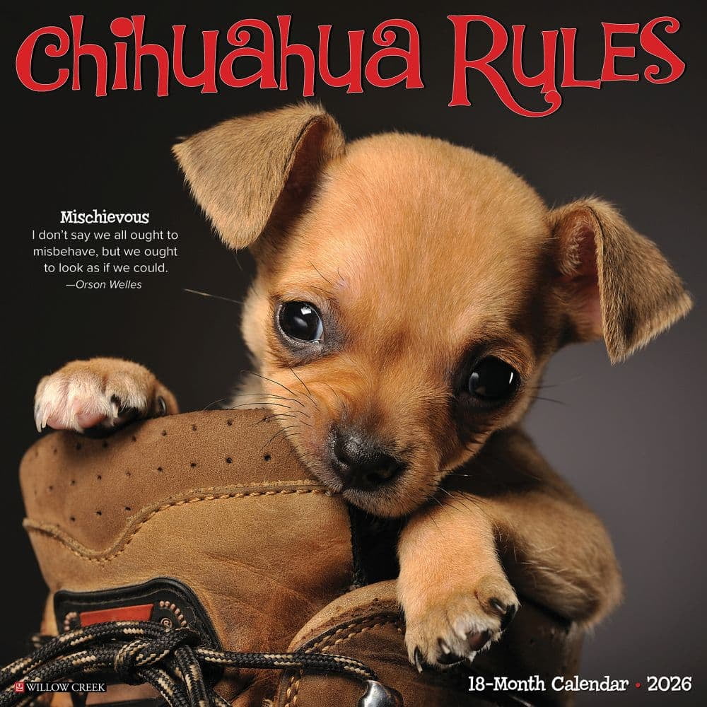 Willow Creek Press Chihuahua Rules 2026 Wall Calendar 12 X 12 18 Willow Creek Press Chihuahua Rules 2026 Wall Calendar 003cbad5 9326 4574 994d 