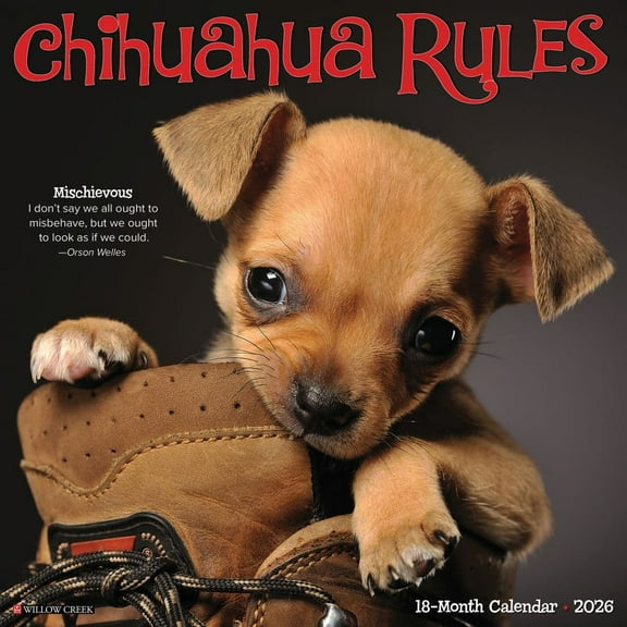 Willow Creek Press, Chihuahua Rules 2026 Wall Calendar, 12'' X 12'', 18-Month Calendar with Stapled Binding