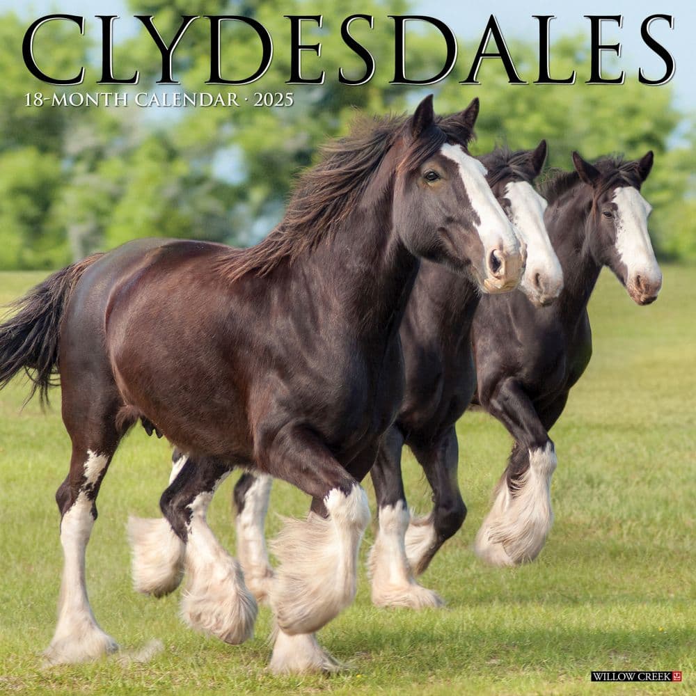 Willow Creek Press, Clydesdales Horses 2025 Wall Calendar