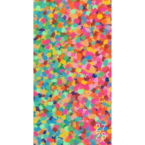 Willow Creek Press Confetti Pop 2-Year 2027-28 3.5" x 6.5" Monthly Pocket Planner (66034)