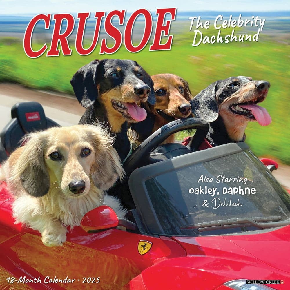 Willow Creek Press, Crusoe the Celebrity Dachshund 2025 Wall Calendar