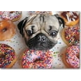 thumbnail image 1 of Willow Creek Press Doug the Pug 1000-Piece Puzzle, 1 of 5