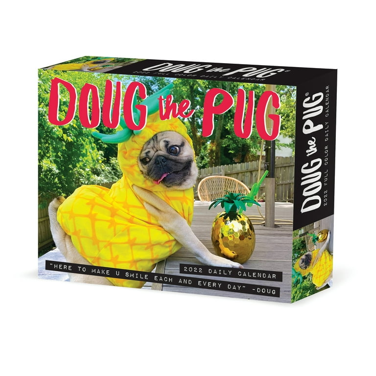 Doug The Pug Desk Calendar 2025 Calendar shirl mariette