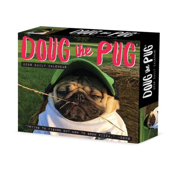 Willow Creek Press, Doug the Pug 2026 Desk Calendar, 6.18'' X 5.43'', Daily Calendar with Adhesive Binding