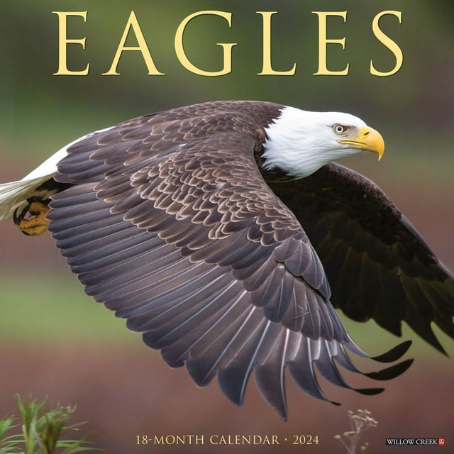 Willow Creek Press, Eagles 2025 Wall Calendar