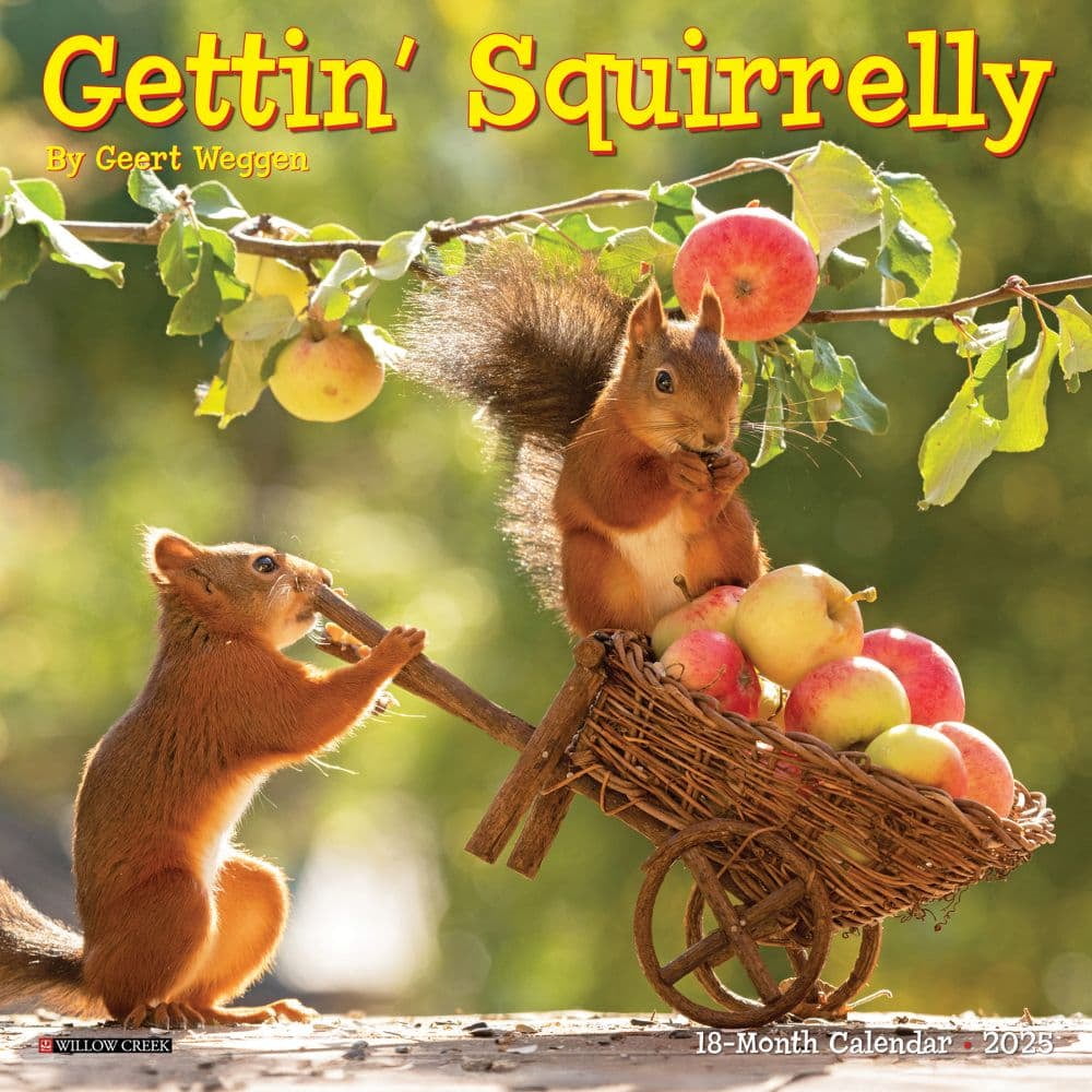Willow Creek Press, Gettin Squirrelly 2025 Mini Wall Calendar