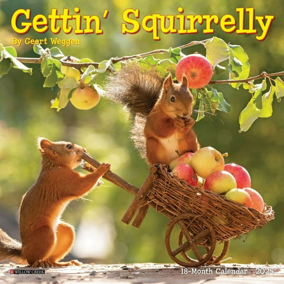 Willow Creek Press, Gettin Squirrelly 2025 Mini Wall Calendar