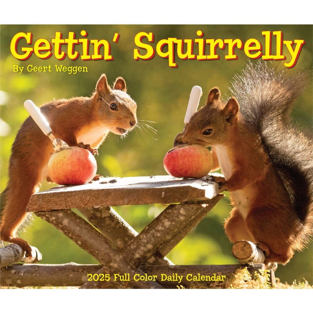 Willow Creek Press, Getting Squirrelly 2025 Desk Calendar