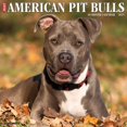 thumbnail image 1 of Willow Creek Press, Just American Pit Bulls 2025 Wall Calendar, 1 of 4