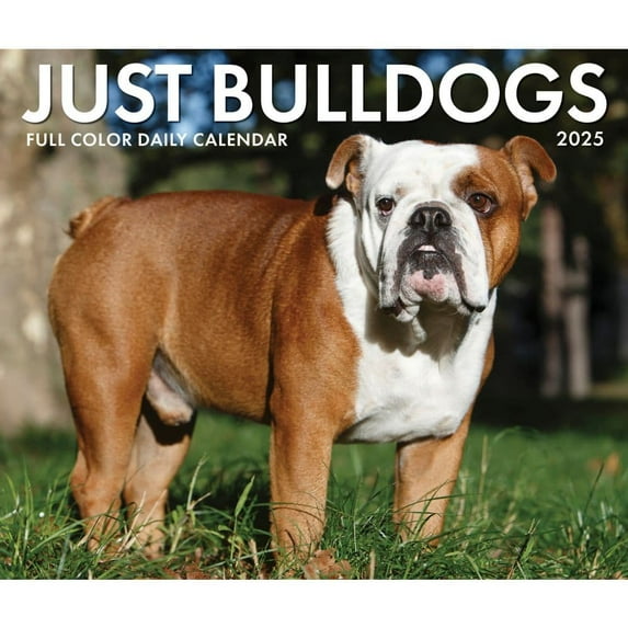 2025 Willow Creek Press Daily Desk Box Calendar, Animals, 5-1/2" x 6-1/4" , Bulldogs, January To December, 40706