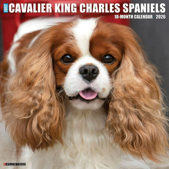 Willow Creek Press, Just Cavalier King Charles 2026 Wall Calendar, 12'' X 12'', 18-Month Calendar with Stapled Binding