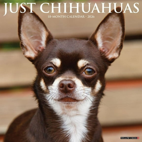 Willow Creek Press, Just Chihuahuas 2026 Wall Calendar, 12'' X 12'', 18-Month Calendar with Stapled Binding