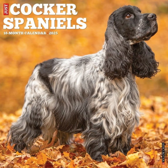 Willow Creek Press, Just Cocker Spaniels 2025 Wall Calendar