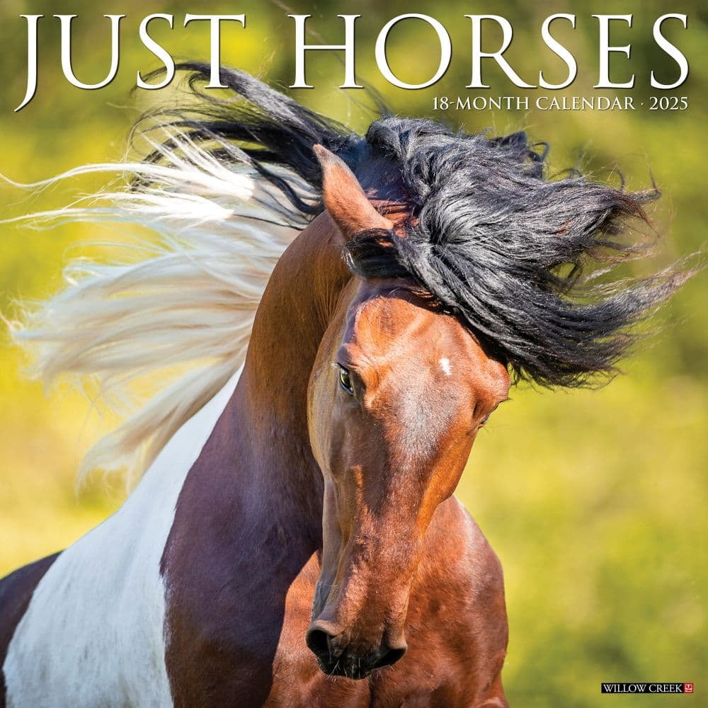 Willow Creek Press, Just Horses 2025 Wall Calendar