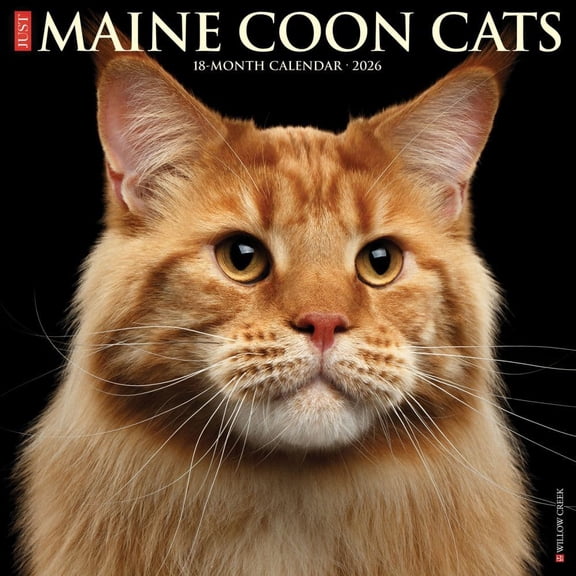 Willow Creek Press, Just Maine Coon Cats 2026 Wall Calendar, 12'' X 12'', 18-Month Calendar with Stapled Binding