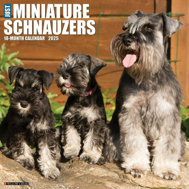Willow Creek Press, Just Miniature Schnauzers 2025 Wall Calendar