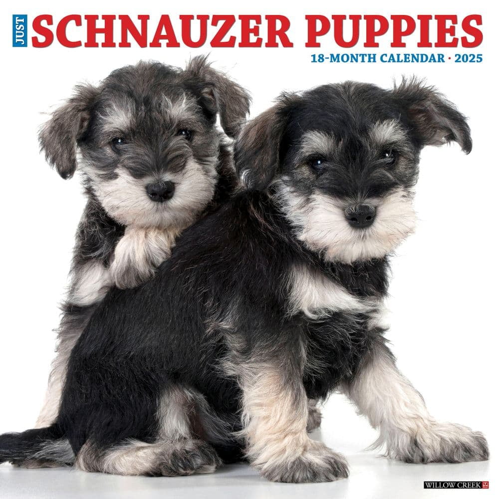 Willow Creek Press, Just Schnauzer Puppies 2025 Wall Calendar