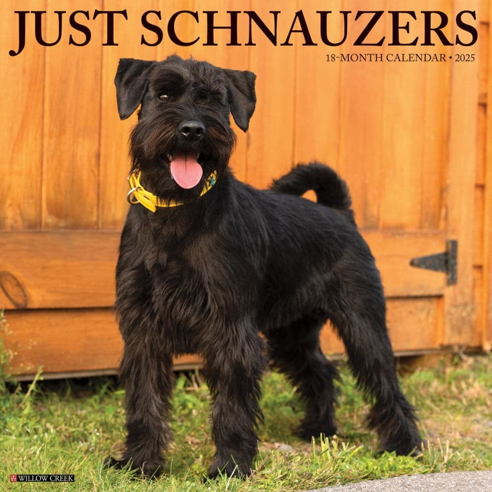 Willow Creek Press, Just Schnauzers 2025 Wall Calendar
