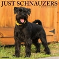 thumbnail image 1 of Willow Creek Press, Just Schnauzers 2025 Wall Calendar, 1 of 4