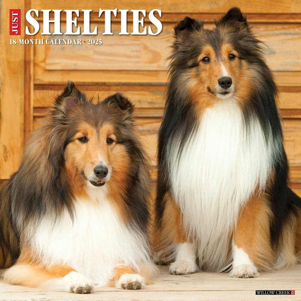 Willow Creek Press, Just Shelties 2025 Wall Calendar